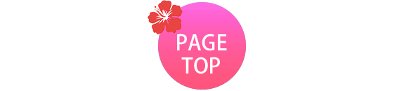 PAGE TOP